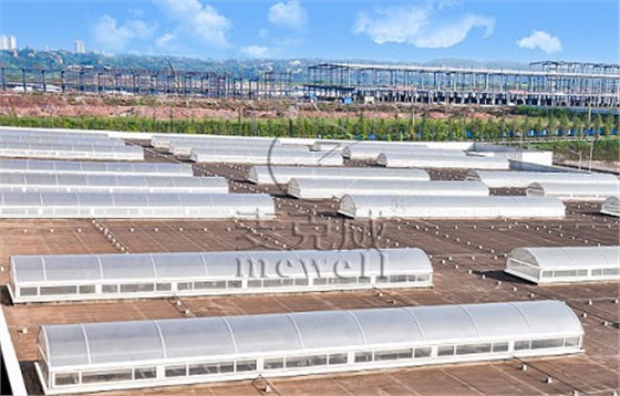 側(cè)開式圓拱型電動采光排煙天窗